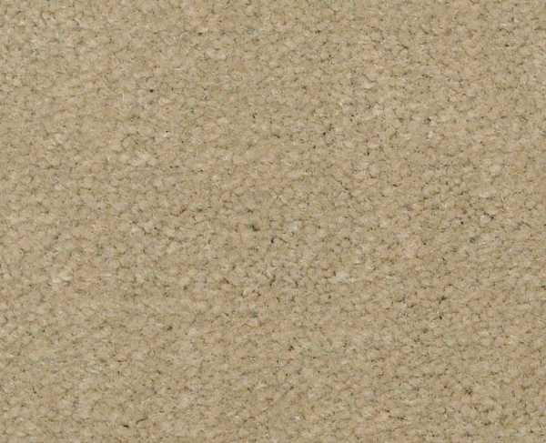 Picture of Philadelphia Commercial by Shaw - Emphatic II 36 Parchment