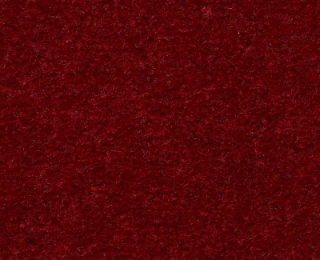 Picture of Philadelphia Commercial by Shaw - Emphatic II 36 Garnet Rose