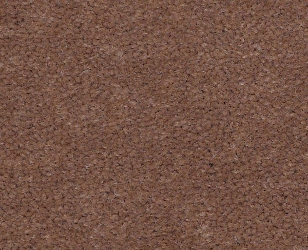 Picture of Philadelphia Commercial by Shaw - Emphatic II 36 Koala