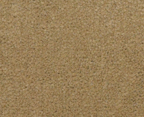 Picture of Philadelphia Commercial by Shaw - Emphatic II 36 Butterscotch