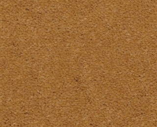 Picture of Philadelphia Commercial by Shaw - Emphatic II 36 Gold Coast