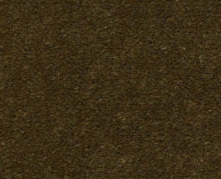 Picture of Philadelphia Commercial by Shaw - Emphatic II 36 Venetian Green