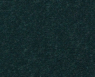 Picture of Philadelphia Commercial by Shaw - Emphatic II 36 Capri