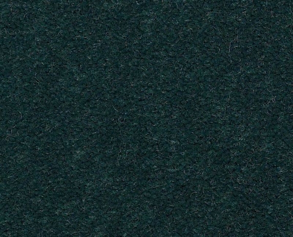 Picture of Philadelphia Commercial by Shaw - Emphatic II 36 Capri