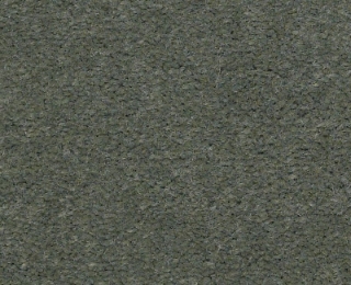 Picture of Philadelphia Commercial by Shaw - Emphatic II 36 Dried Sage