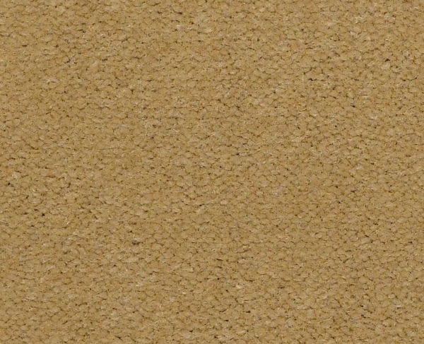 Picture of Philadelphia Commercial by Shaw - Emphatic II 36 Honeywheat