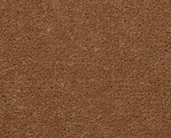 Picture of Philadelphia Commercial by Shaw - Emphatic II 36 Camelback