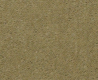 Picture of Philadelphia Commercial by Shaw - Emphatic II 36 Tea Green