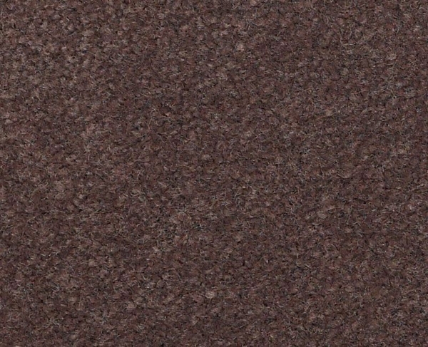 Picture of Philadelphia Commercial by Shaw - Emphatic II 36 Raisin