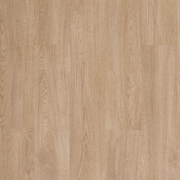 Picture of LX Hausys - ForestFusion Summit