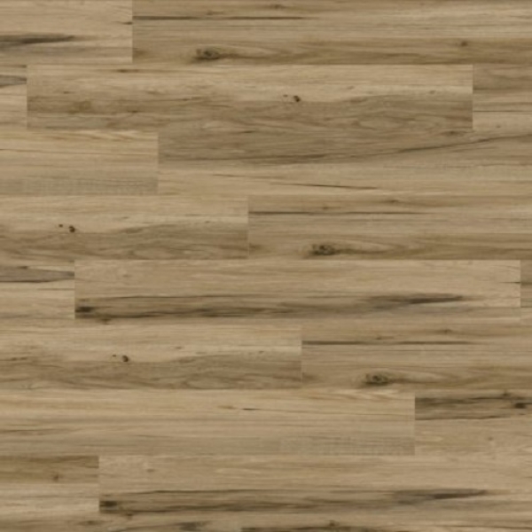 Picture of Create Flooring - Glory Distinction