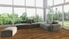 Picture of Create Flooring - Asian Walnut Natural