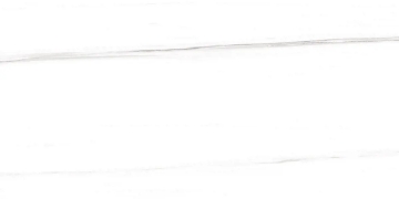 Picture of Chesapeake Flooring - Savoy 12 x 24 Dolomite Matte