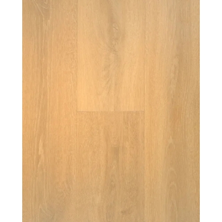 Picture of Stanton - Adirondacks Wheat