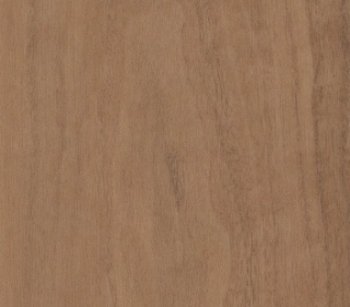 Picture of Philadelphia Commercial by Shaw - Quietude Subdued Sienna