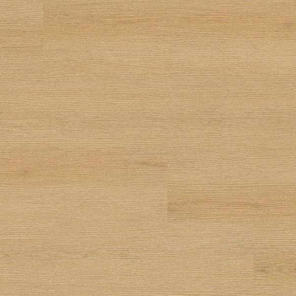 Picture of MS International - XL Studio Roswell