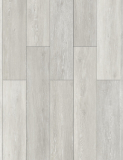 Picture of Gluck GmbH Corp. - Elevate Rhine Haya