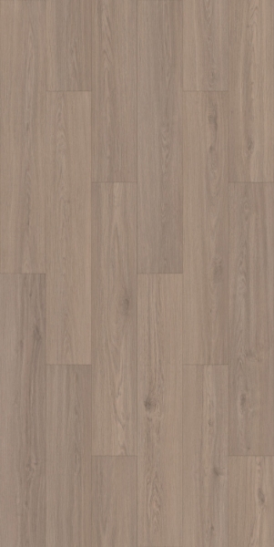 Picture of Gluck GmbH Corp. - Forte Carbon+ Cool Sandy