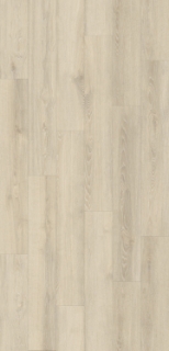 Picture of Gluck GmbH Corp. - Forte Carbon+ Artic Cliff