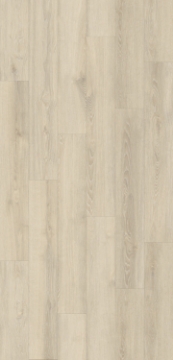 Picture of Gluck GmbH Corp. - Forte Carbon+ Artic Cliff