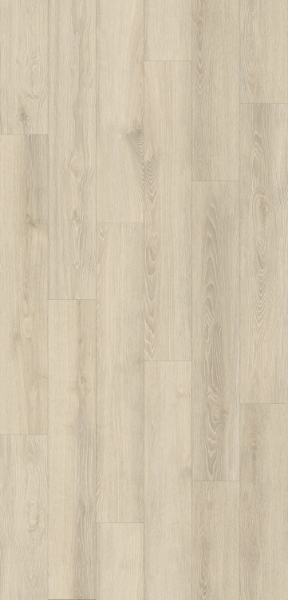 Picture of Gluck GmbH Corp. - Forte Carbon+ Artic Cliff