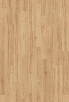 Picture of InHaus - Gallery Northlands