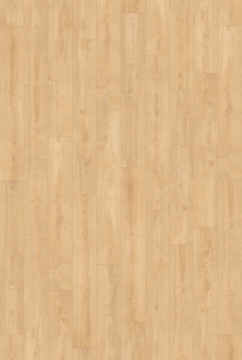 Picture of InHaus - Gallery Norgate