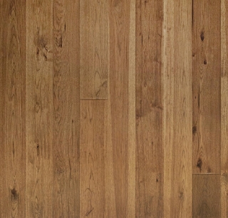 Picture of Echelon Floors - Trailhead Aged Bronze