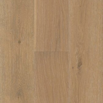 Picture of Echelon Floors - Coast Driftwood