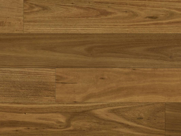 Picture of Norwood Hill - Carriage Lavish