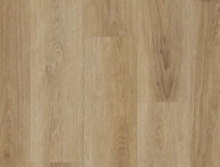 Picture of Nuvelle - Paradiso Maui