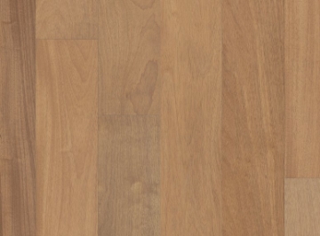 Picture of Anderson - Brasilia Samba