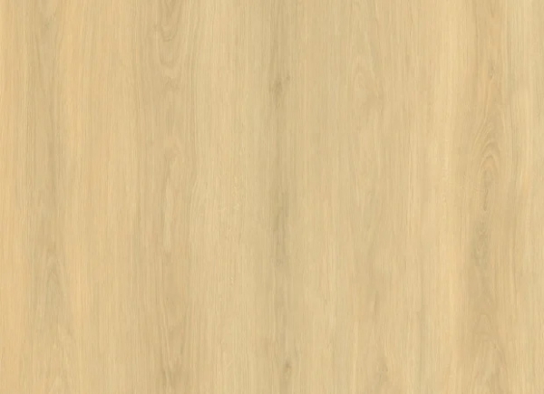 Picture of Nuvelle - Paradiso Turks