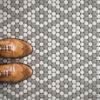Picture of Roca - CC Mosaics Gray White Matte Pennyround