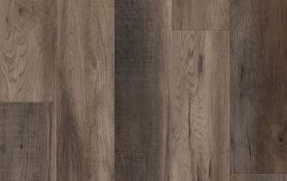 Picture of Lions Floor - District Max Truckee