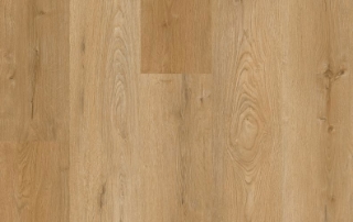 Picture of Lions Floor - District Max Belvedere