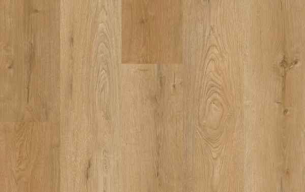 Picture of Lions Floor - District Max Belvedere