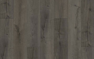 Picture of Lions Floor - District Max Westport