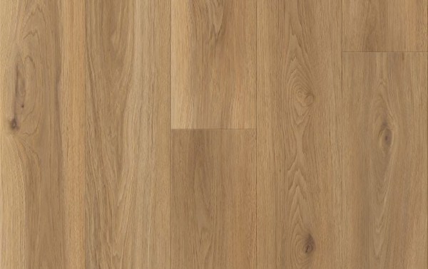 Picture of Lions Floor - District Max Greenwich