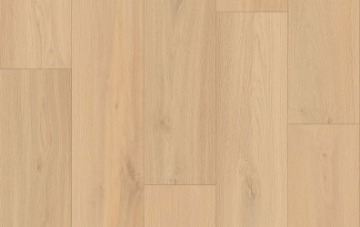 Picture of Lions Floor - District Max Naperville