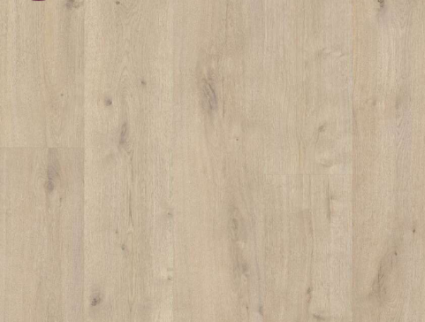 Picture of Ribadao - Stravaganza - AC6 Genova