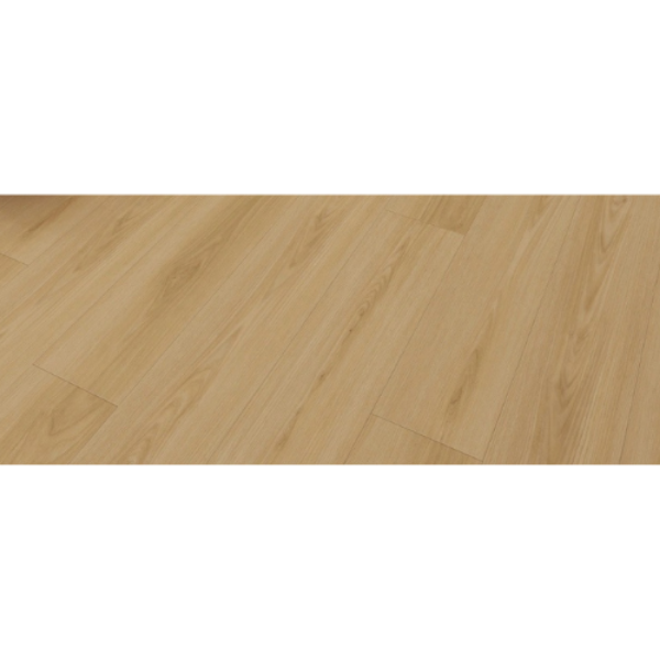 Picture of Ribadao - Buccaneer Cayo