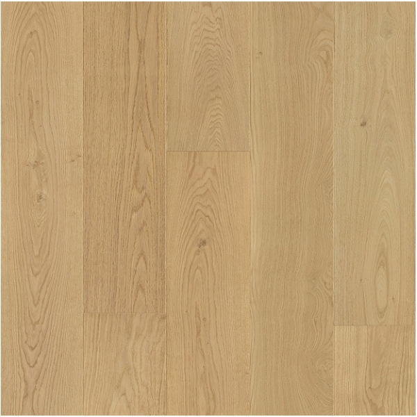 Picture of Ribadao - Fra-Grance Essence Forest