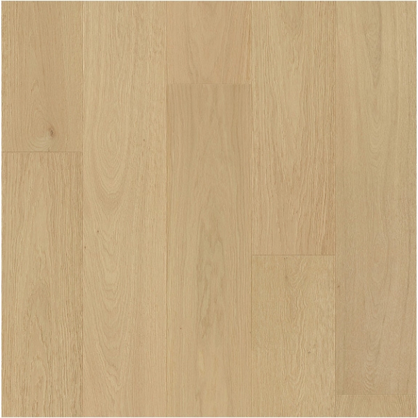 Picture of Ribadao - Fra-Grance Aroma Evoque