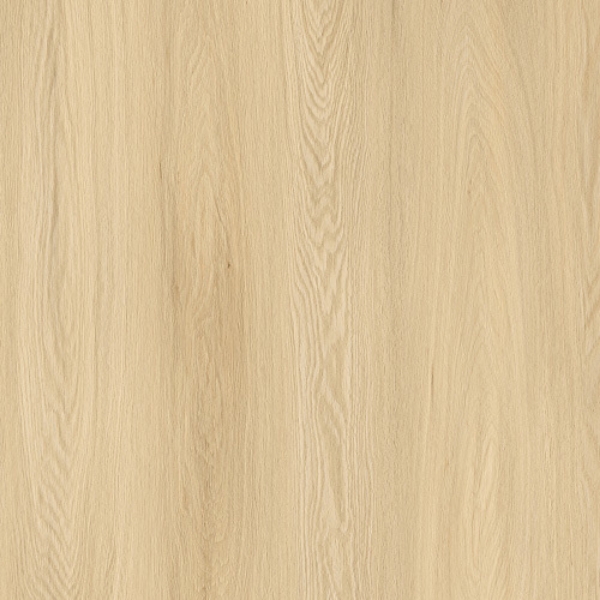 Picture of Ribadao - Caravel Vera Cruz