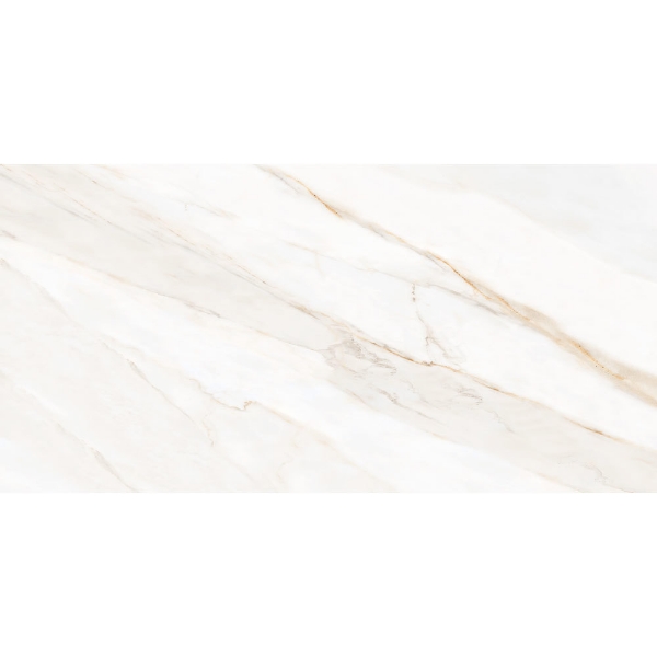 Picture of Tesoro - Icaro 12 x 24 Calacatta Oro Matte