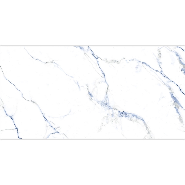 Picture of Tesoro - Indigo 24 x 48 Calacatta Blue Matte