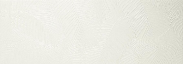 Picture of Tesoro - Kentia Crayon White Palm