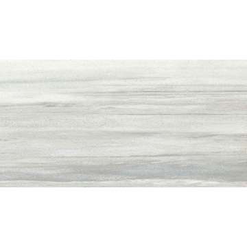 Picture of Roca - Lithology 24 x 48 Astoria Gray