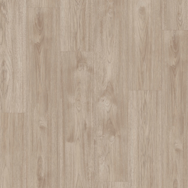 Picture of Southwind - Sweet Home Dawson